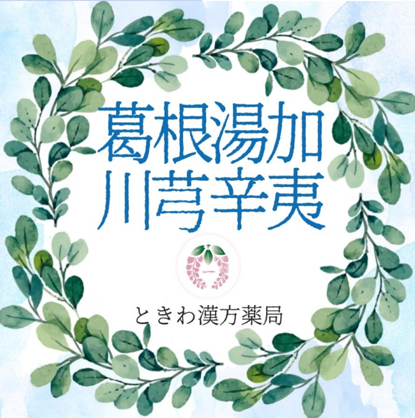 葛根湯加川芎辛夷(カッコントウカセンキュウシンイ):慢性鼻炎に