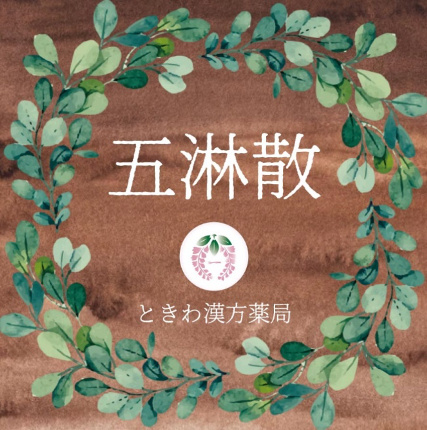 五淋散(ゴリンサン):尿が出にくく、濃尿や血尿が出る方に