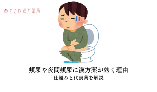 頻尿や夜間頻尿に漢方薬が効く理由とは？仕組みと代表薬を解説