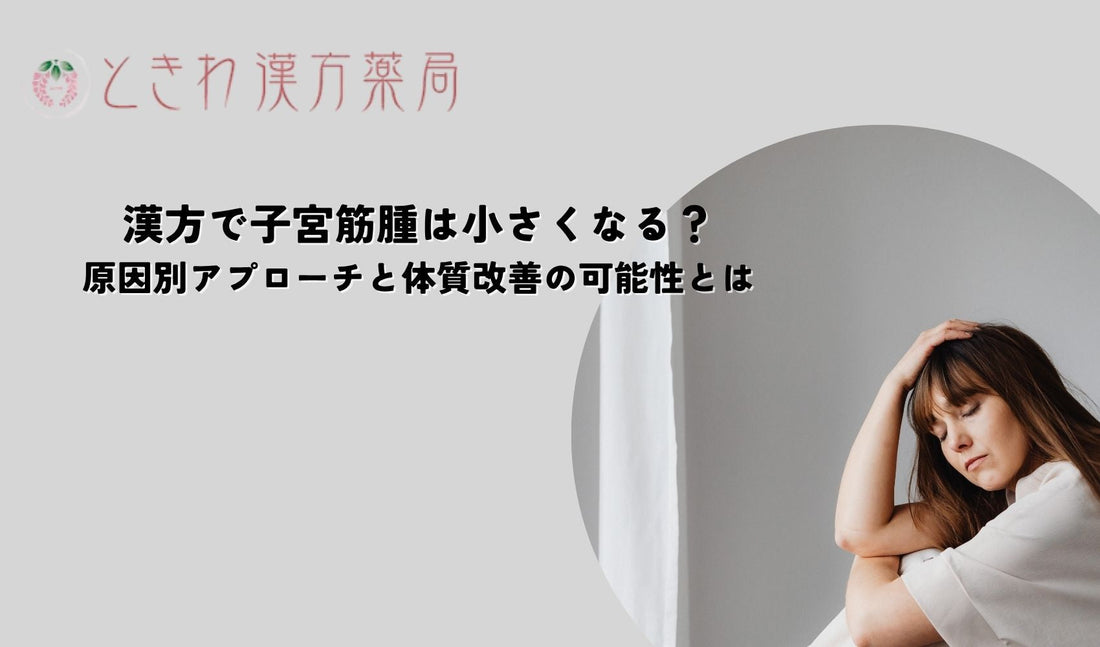 漢方で子宮筋腫は小さくなる？原因別アプローチと体質改善の可能性とは