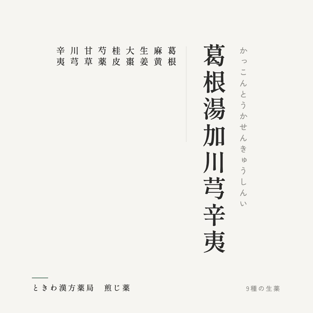 葛根湯加川芎辛夷（煎じ薬）ときわ漢方薬局