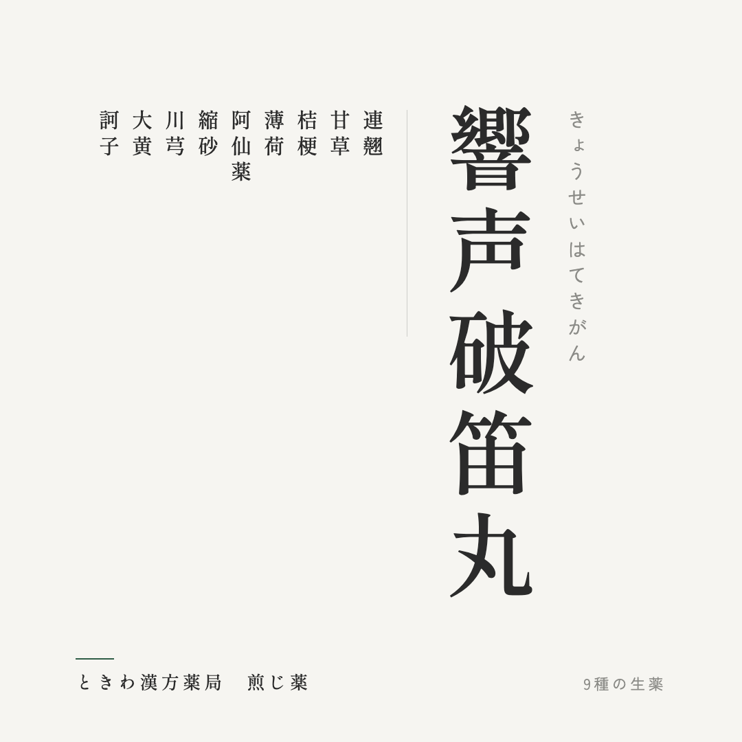 響声破笛丸（煎じ薬）ときわ漢方薬局